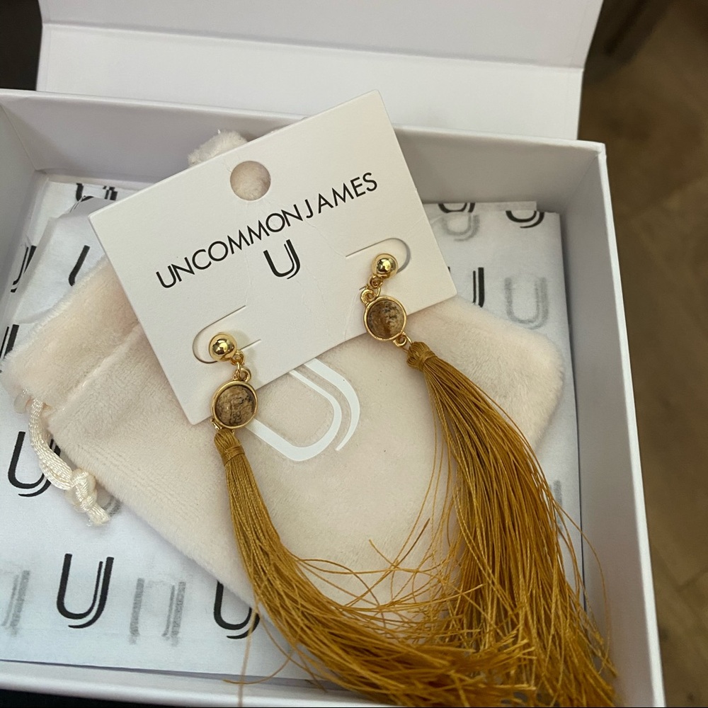 Uncommon James earrings